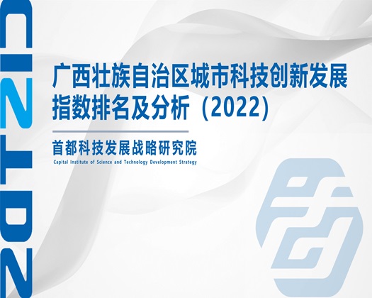 插下面水好湿视屏【成果发布】广西壮族自治区城市科技创新发展指数排名及分析（2022）